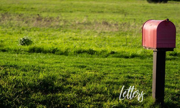 Council pay increases