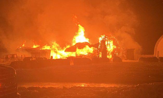 Fire destroys Grenville area goat farm