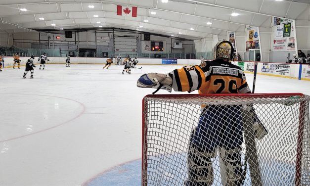 Cougars fall 5-2 to Gatineau-Hull in series deciding game