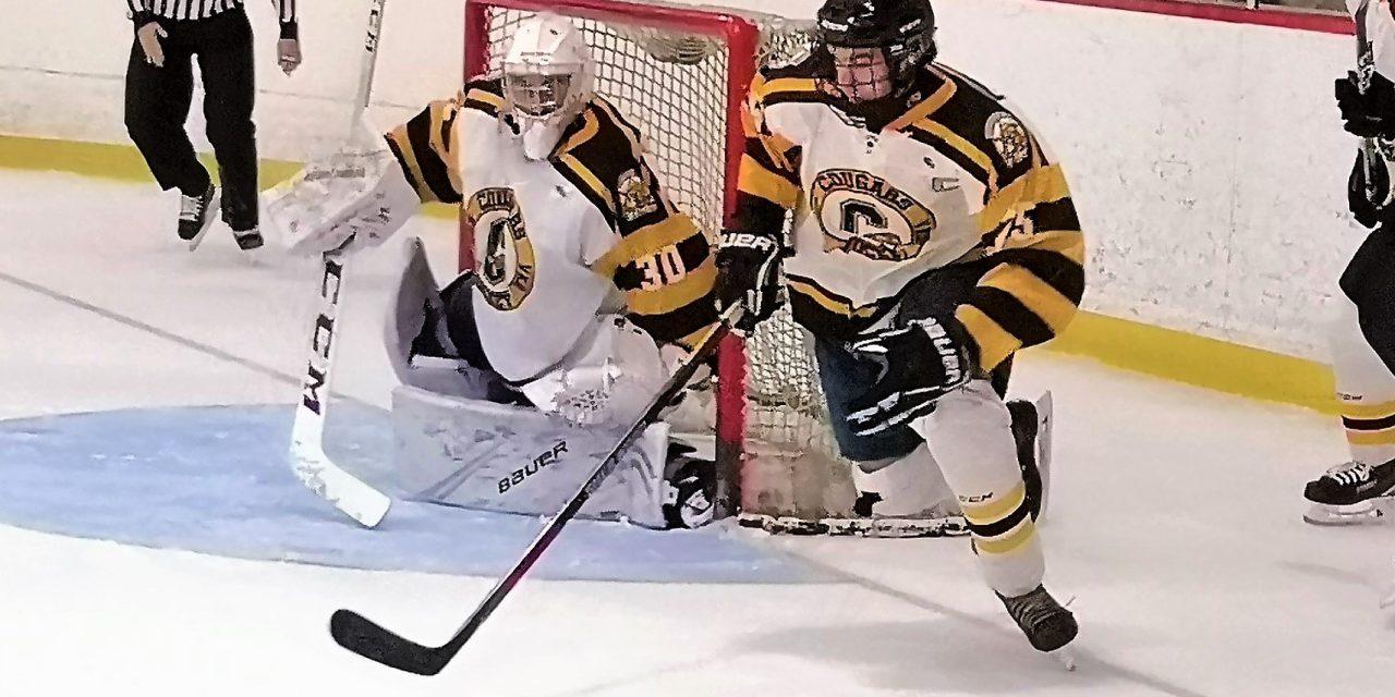 Chaumont scores five goals, as Cougars head into playoffs on a roll
