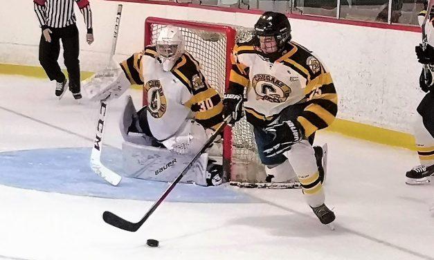 Chaumont scores five goals, as Cougars head into playoffs on a roll