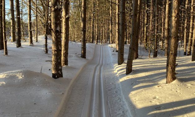 Family Day to mark official opening of the Larocque Woods will be held February 21