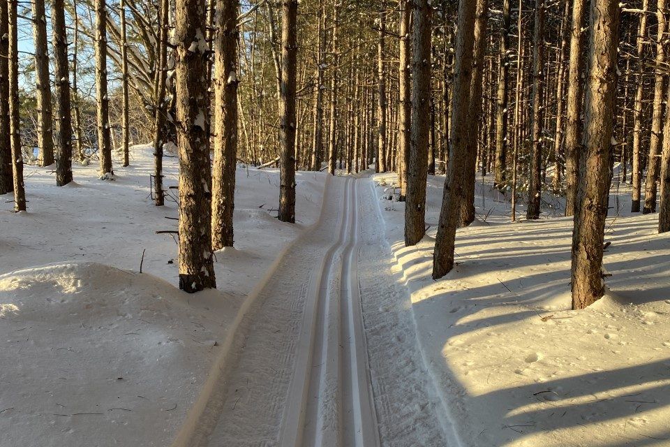Family Day to mark official opening of the Larocque Woods will be held February 21