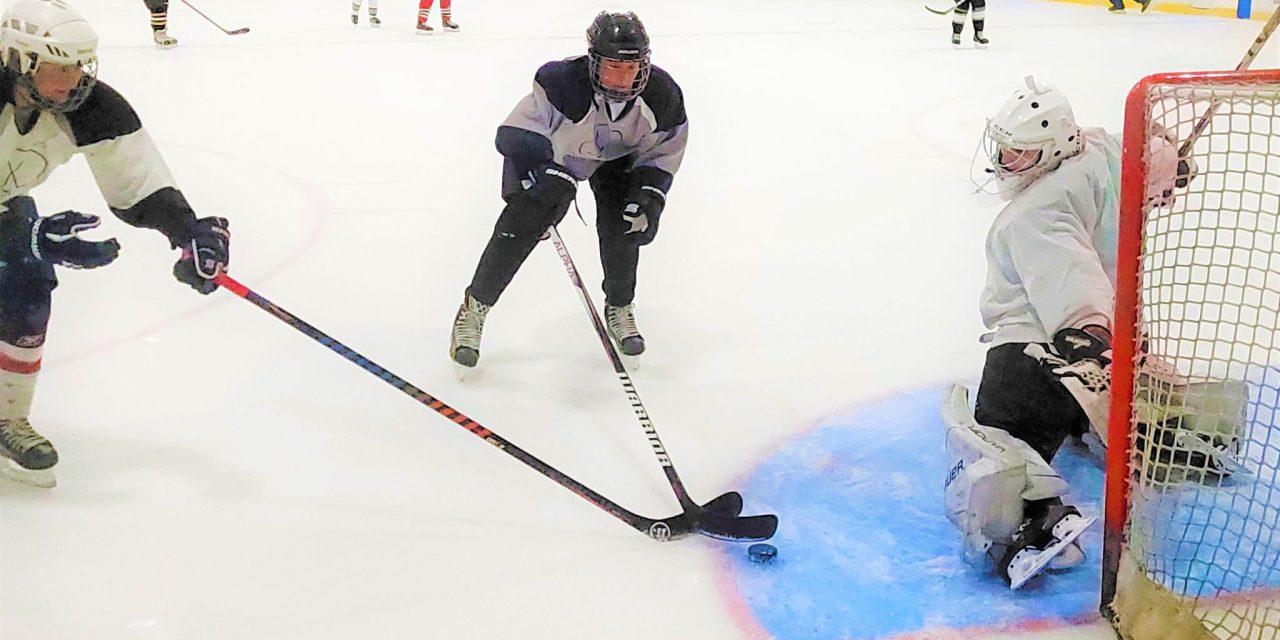 Vankleek Hill Ladies’ Hockey League wraps up successful debut season