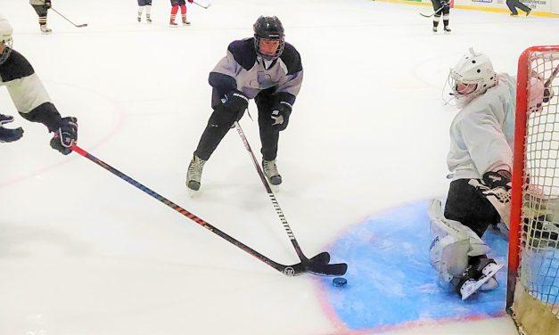 Vankleek Hill Ladies’ Hockey League wraps up successful debut season