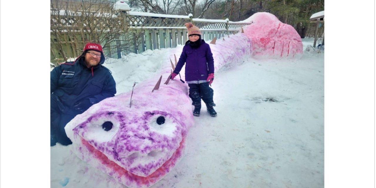 Champlain Winter Carnival contest winners announced