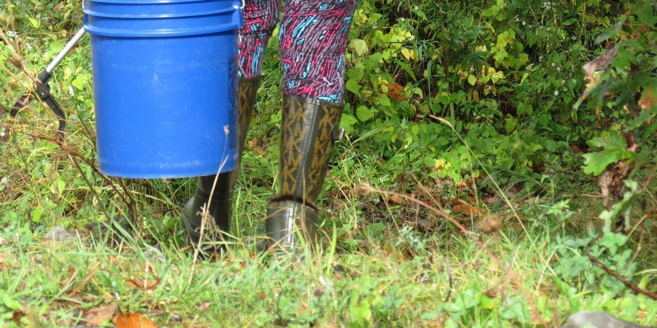 Ottawa Riverkeeper summer of cleanups in the regions of the Pacte d’Amitié begins May 8 in Casselman