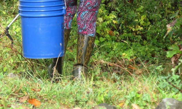 Ottawa Riverkeeper summer of cleanups in the regions of the Pacte d’Amitié begins May 8 in Casselman