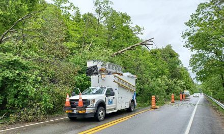 Storm cleanup continues in Grenville-sur-la-Rouge, situation stable in Lachute