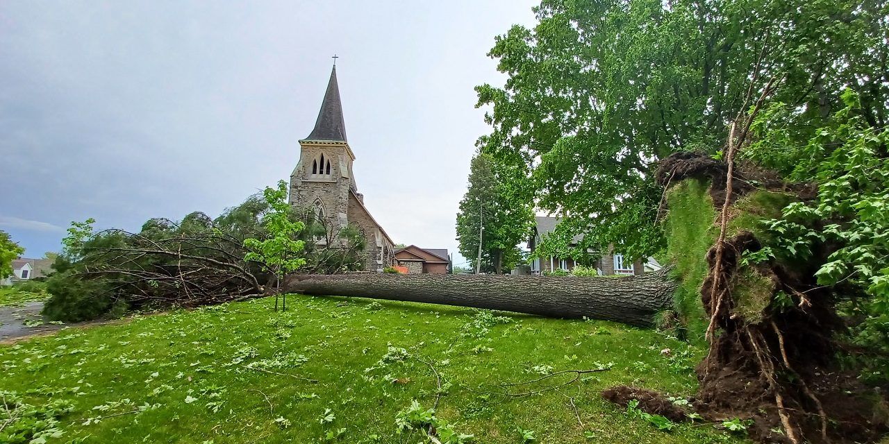 Severe storm that struck region created widespread damage and power outages