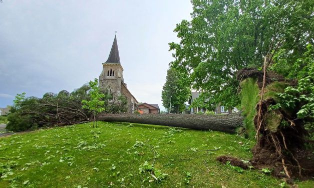 Severe storm that struck region created widespread damage and power outages