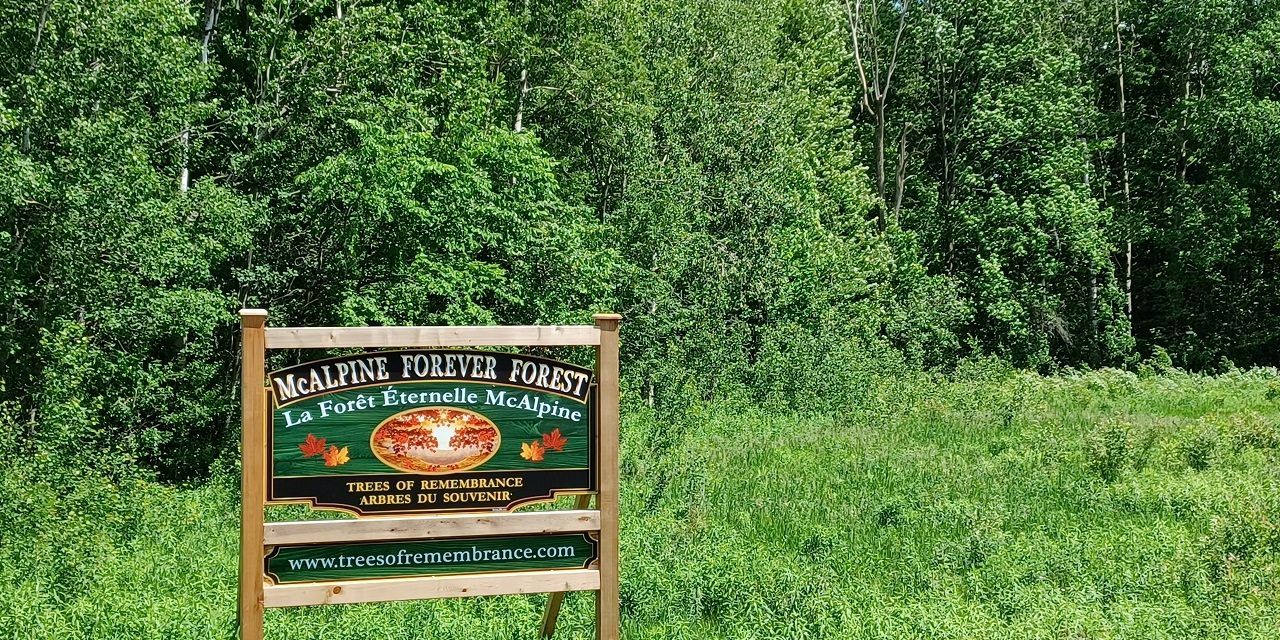 Land trust formed to preserve McAlpine Forever Forest