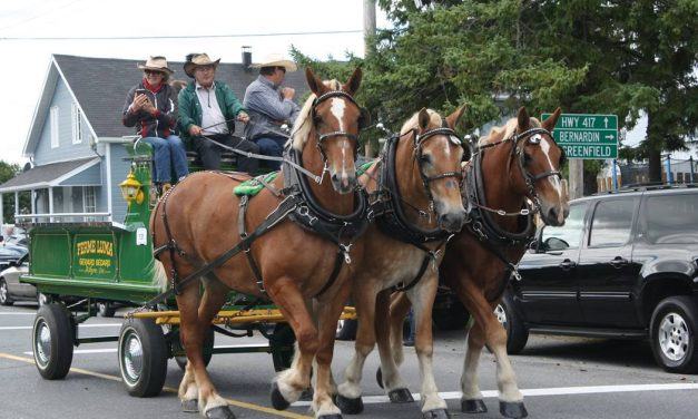 Horse Parade Returns to Dunvegan Harvest Fall Festival after a three-year COVID hiatus
