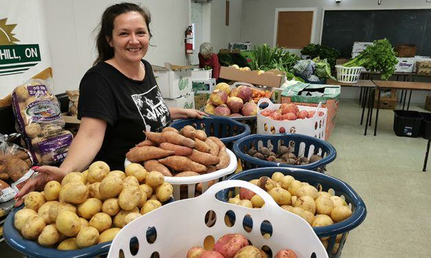 Arks Harvest offers locals fresh produce for sale in a cooperative spirit