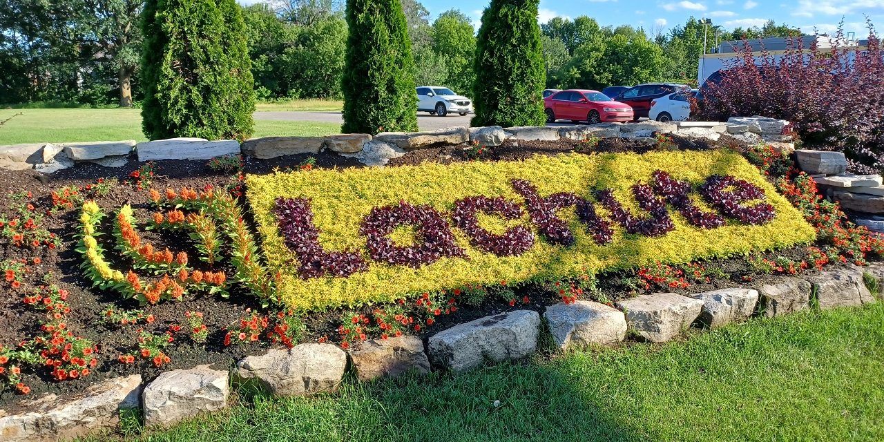 Scouts Canada starting up again in Lachute