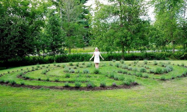 Adventures in Space – A garden to help the planet