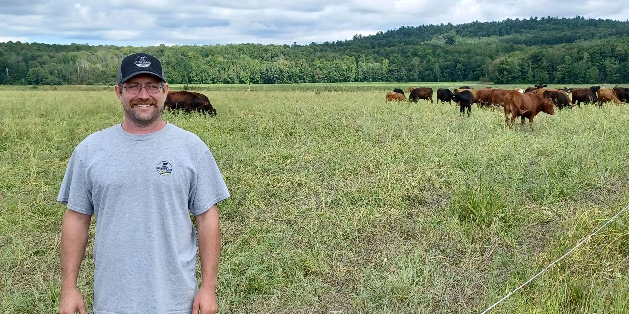 Grass-fed, pastured beef, and regenerative practices at Ferme Guayclair
