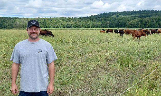 Grass-fed, pastured beef, and regenerative practices at Ferme Guayclair