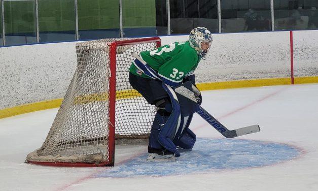 <strong>Hawks split weekend games</strong>