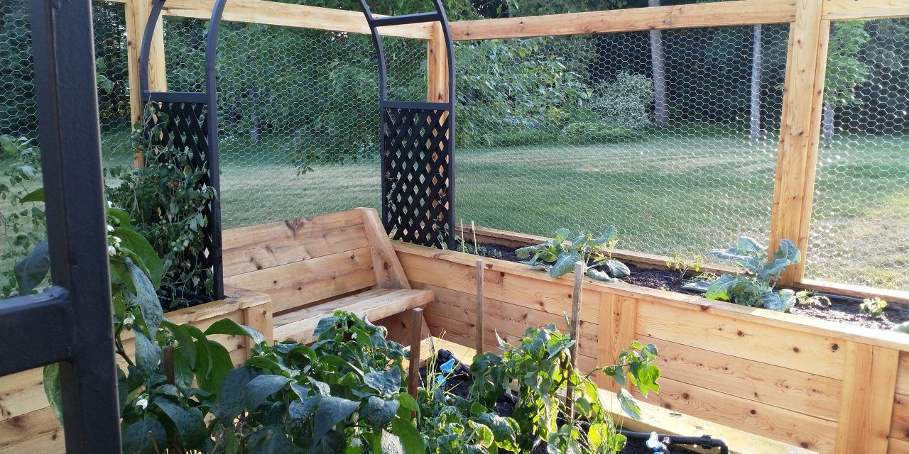 Raised beds for the soul