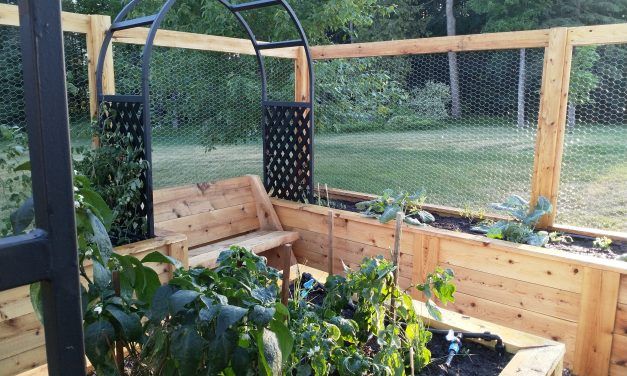 Raised beds for the soul