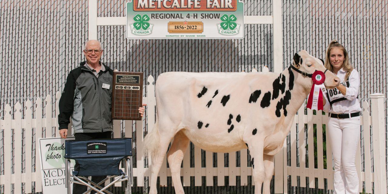Prescott County 4-H members win awards at Metcalfe Fair