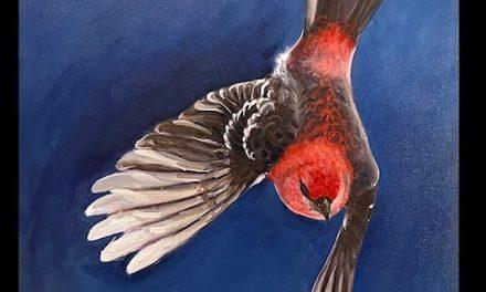 Birdwatching at the Arbor Gallery
