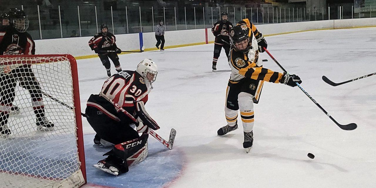 Cougars earn three of four points on weekend