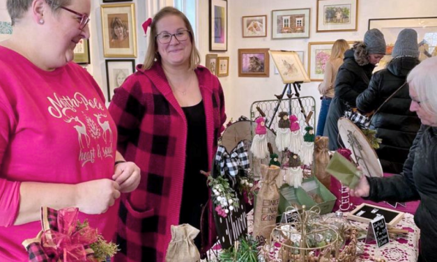 Arbor Gallery fundraising over holiday season for future programming