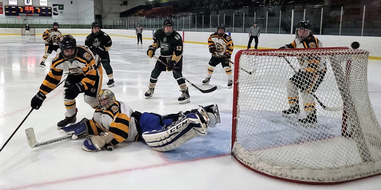 Cougars, Eagles, Castors are back in action this weekend, as NCJHL resumes play