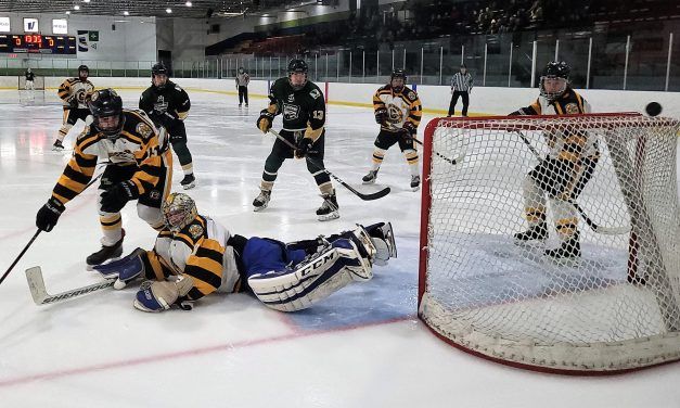 Cougars, Eagles, Castors are back in action this weekend, as NCJHL resumes play
