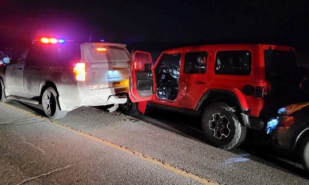 Driver of stolen vehicle charged after striking police cruisers