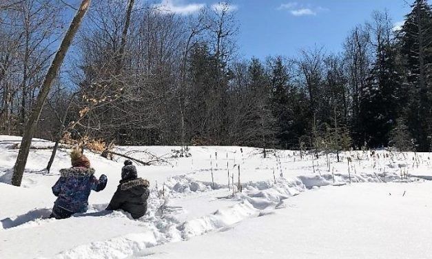 Woods and wetlands part of new preserve in Gore