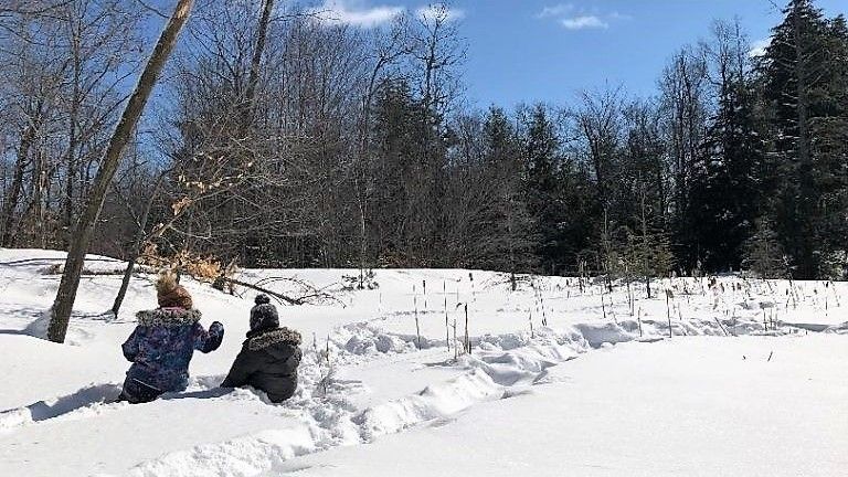 Woods and wetlands part of new preserve in Gore