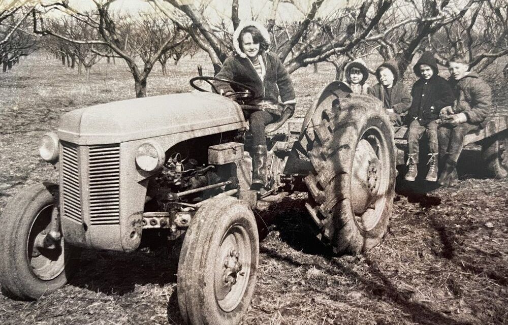 Why rural art matters