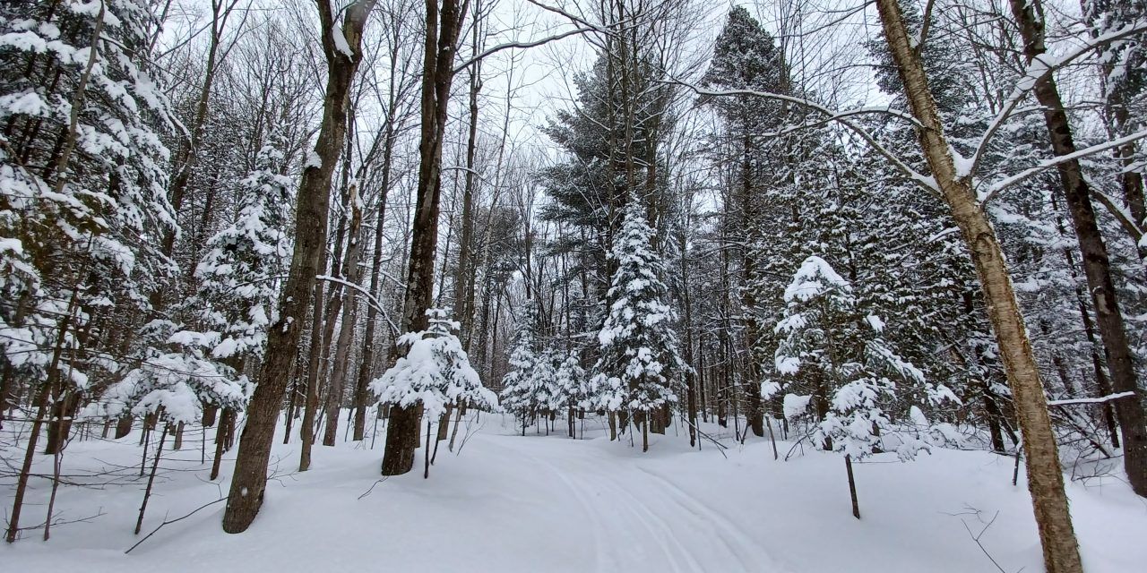 Get ready for the deep freeze!