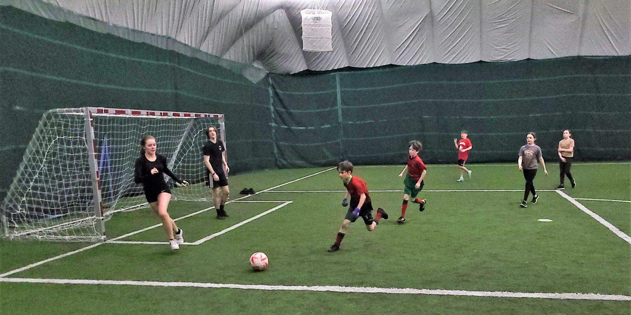 Family Day activities in Alexandria