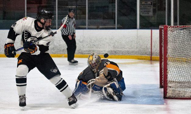 Cougars split weekend games