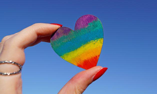 Understanding LGBTQ+ and taking a look at the gender landscape