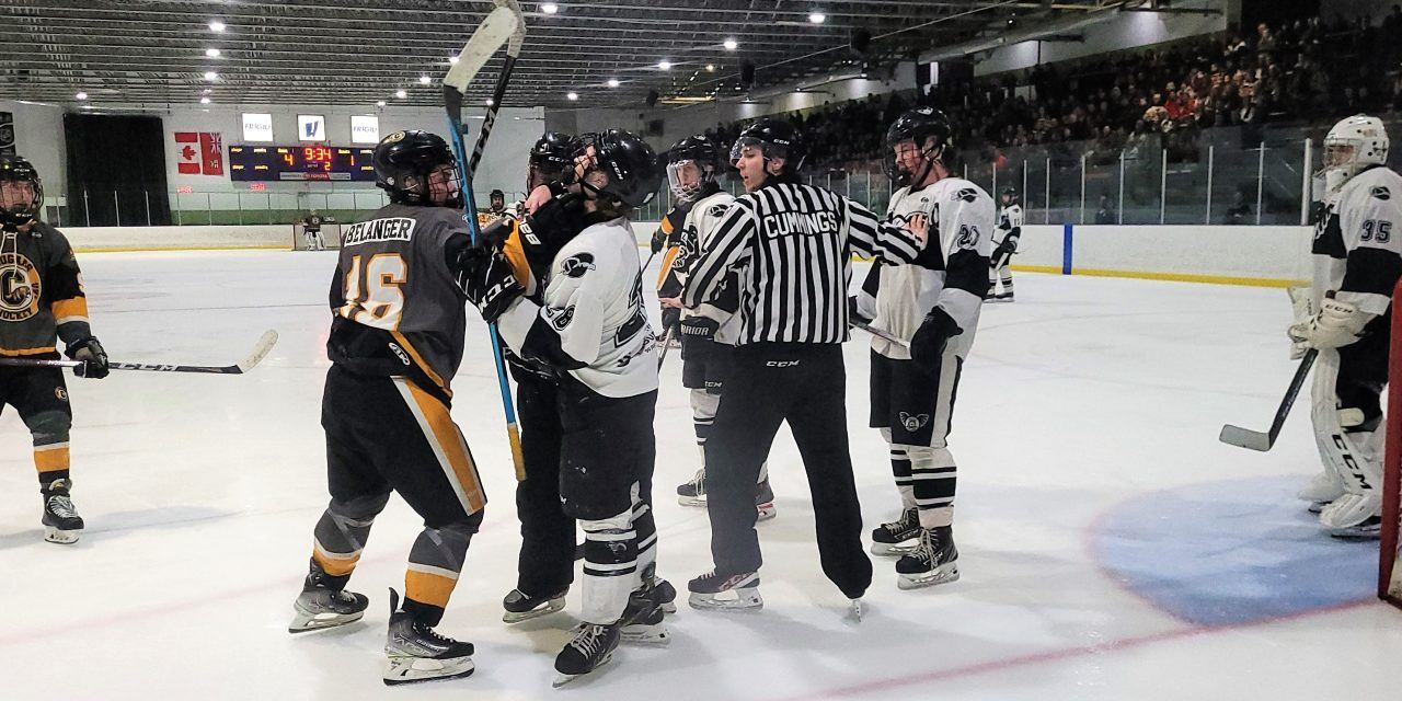 Great season comes to an end for Vankleek Hill Cougars