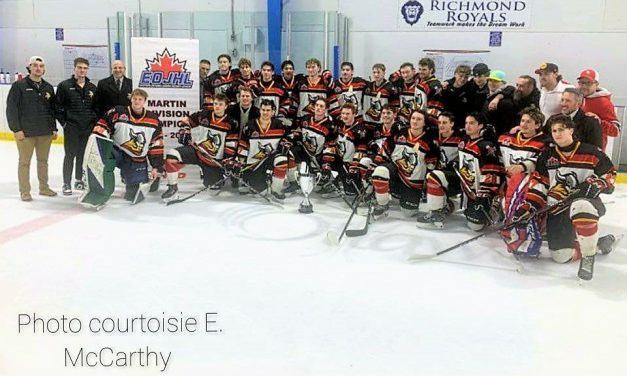 Vikings top Richmond 6-2 in to move on to EOJHL finals