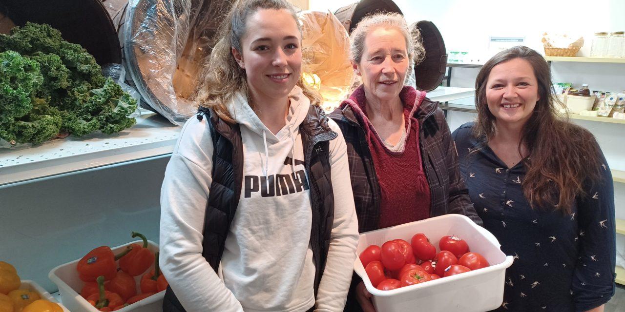 Arks Harvest expanding to Martintown