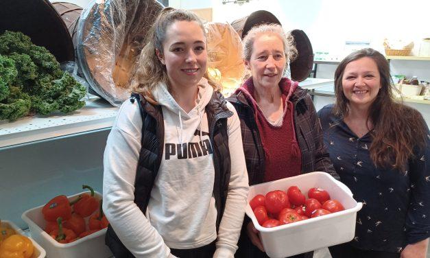 Arks Harvest expanding to Martintown