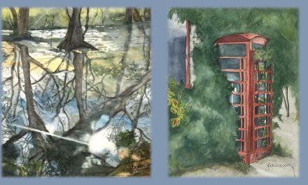 A play of light and shadow at Arbor Gallery