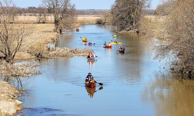 Perfect day for Dalkeith Picnic and Paddle
