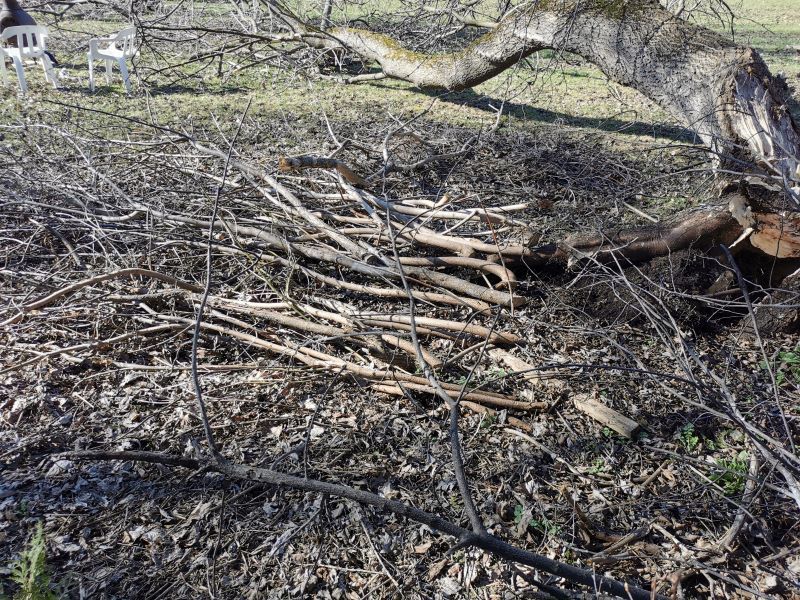Two free weekends at Champlain landfill to help with ice storm clean-up
