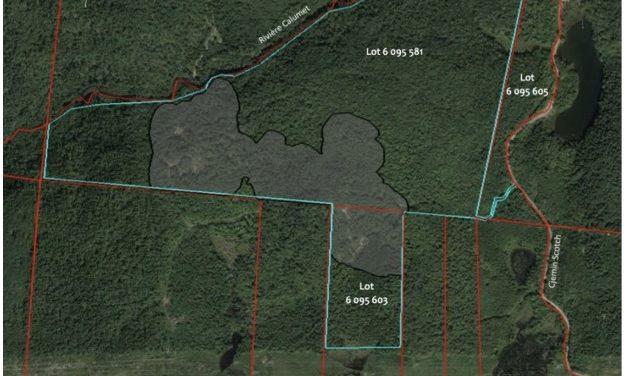 Canada Carbon CEO responds to GSLR council decision on latest mine application