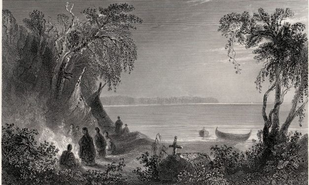 Bringing beauty to the world