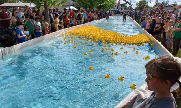Quack! Quack! in St-Isidore