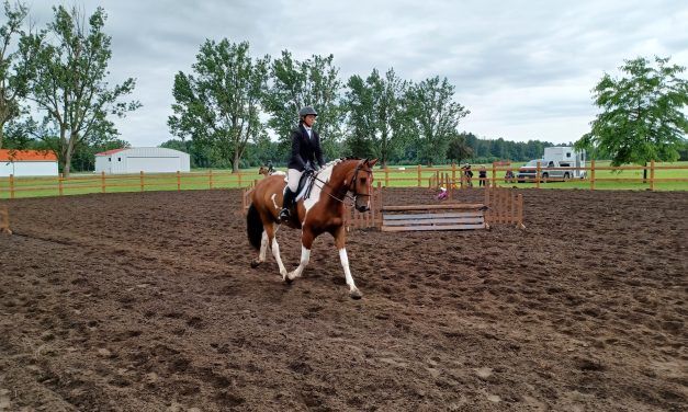 Maxville Fair time starting Friday, June 20